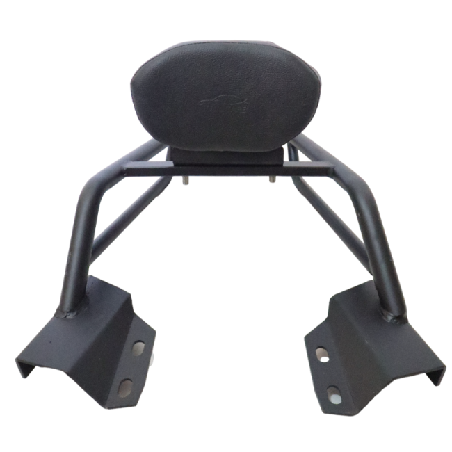 PIPE CARRIER WITH BACKREST FOR FZS 25 - Image 3